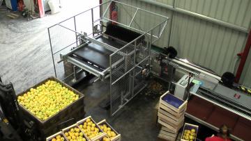 Vide palox à sec alimentant une Calibfruit