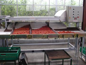 Calibreuse tomate cerise