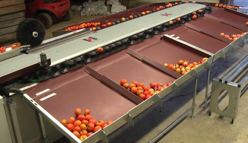 CalibFruit Tomate
