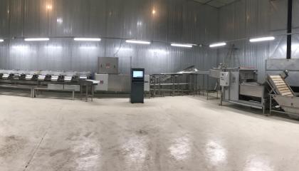 Cerelec