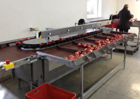 CalibFruit Pomme