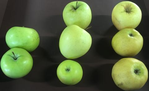 Tri colorimétrique