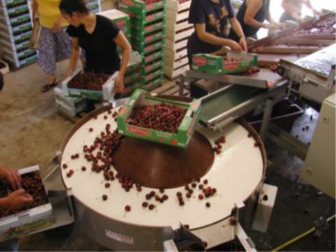 Picture19.jpg