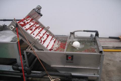Picture9.jpg